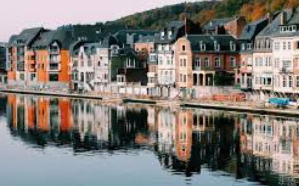 Maison Fontaine Du Saxophone Dinant Bagian luar foto